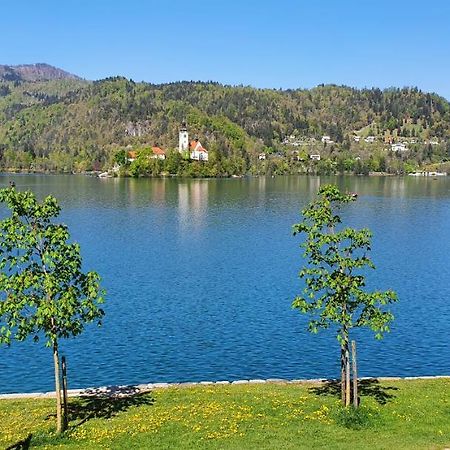 Apartament Apartma Panorama Bled Zewnętrze zdjęcie