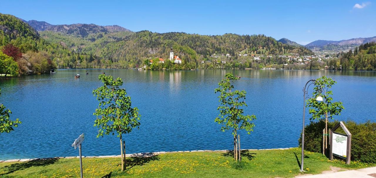Apartament Apartma Panorama Bled Zewnętrze zdjęcie