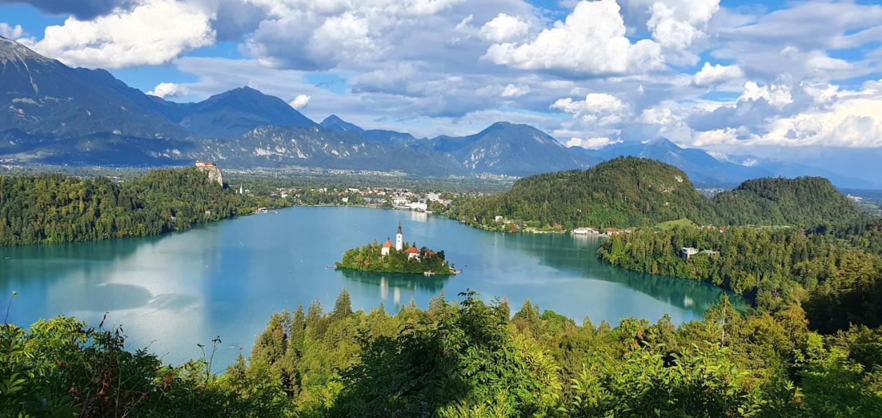 Apartament Apartma Panorama Bled Zewnętrze zdjęcie