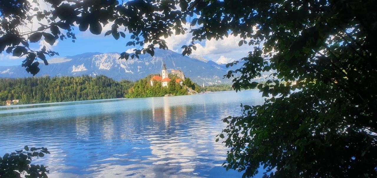 Apartament Apartma Panorama Bled Zewnętrze zdjęcie