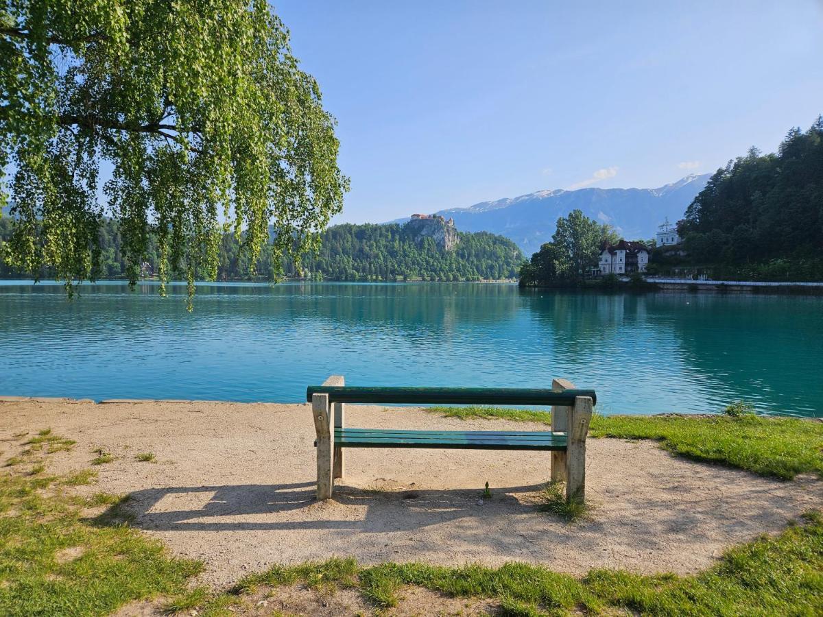 Apartament Apartma Panorama Bled Zewnętrze zdjęcie