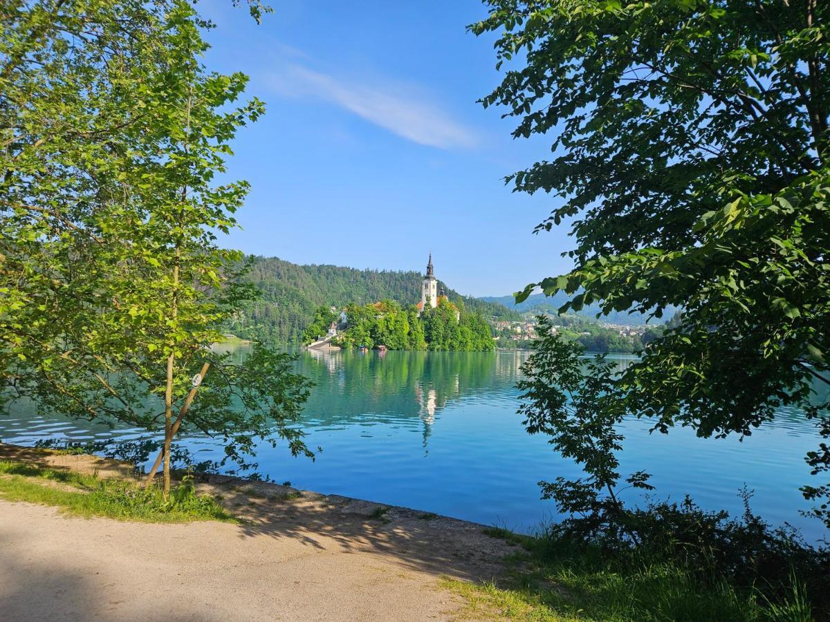 Apartament Apartma Panorama Bled Zewnętrze zdjęcie